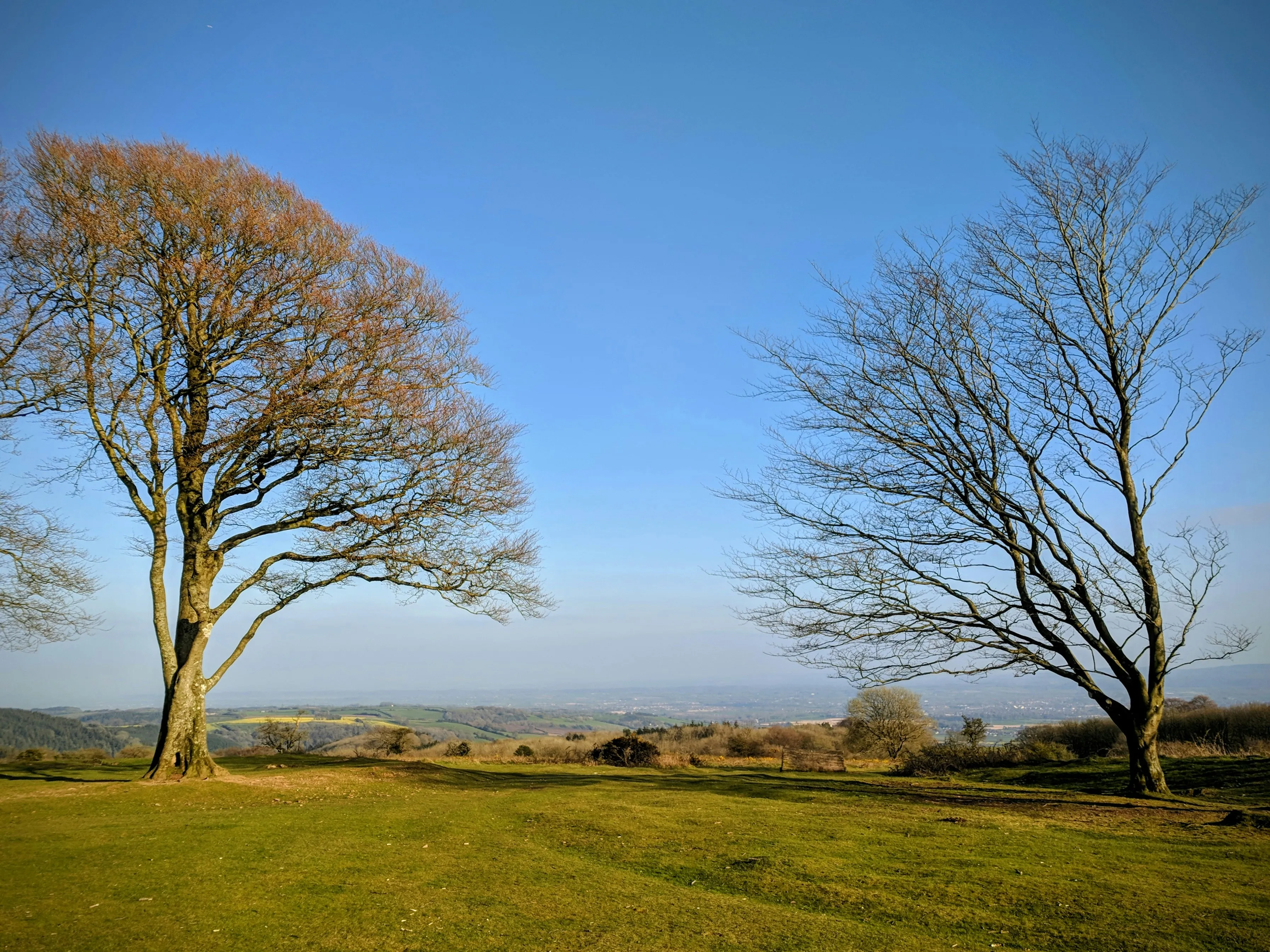 Cothlestone Hill